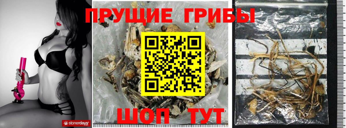 сколько стоит  Псилоцибиновые грибы Magic Shrooms  Вход с VPN  Елизово 