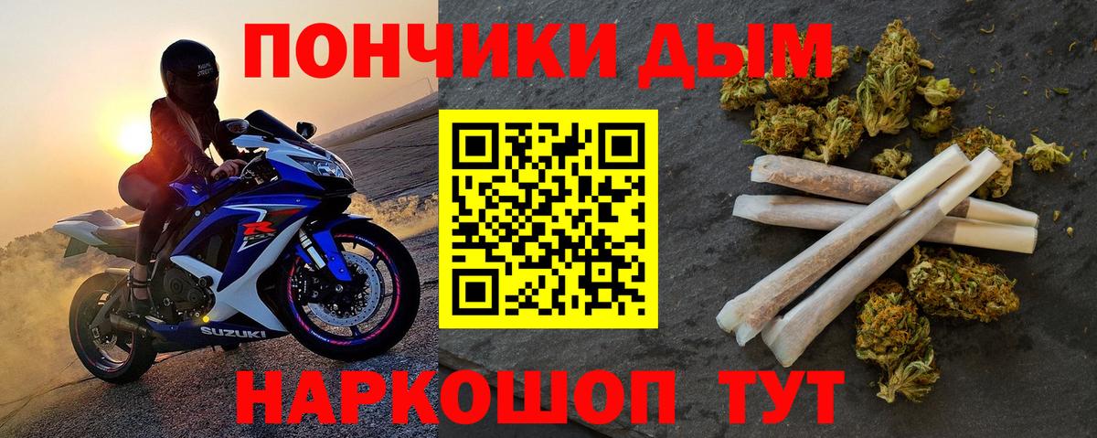 Шишки марихуана план  Вход с VPN  Елизово  Конопля индика 